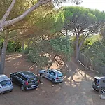 Paradiso Verde 3*