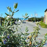 Paradiso Verde