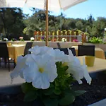Paradiso Verde