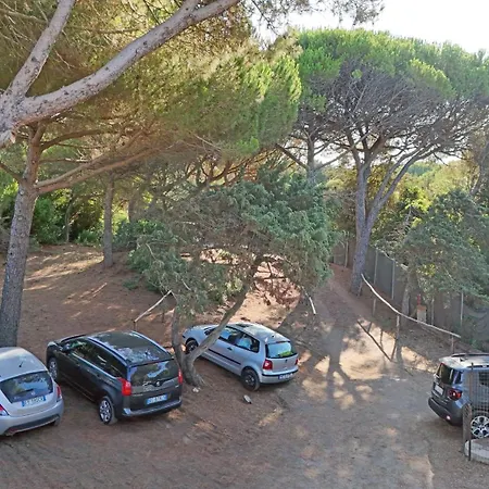 Paradiso 3*